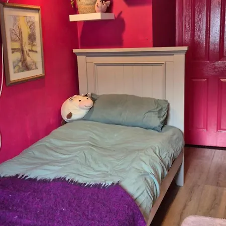 Susie's Place Gasthof Dungarvan (Waterford)